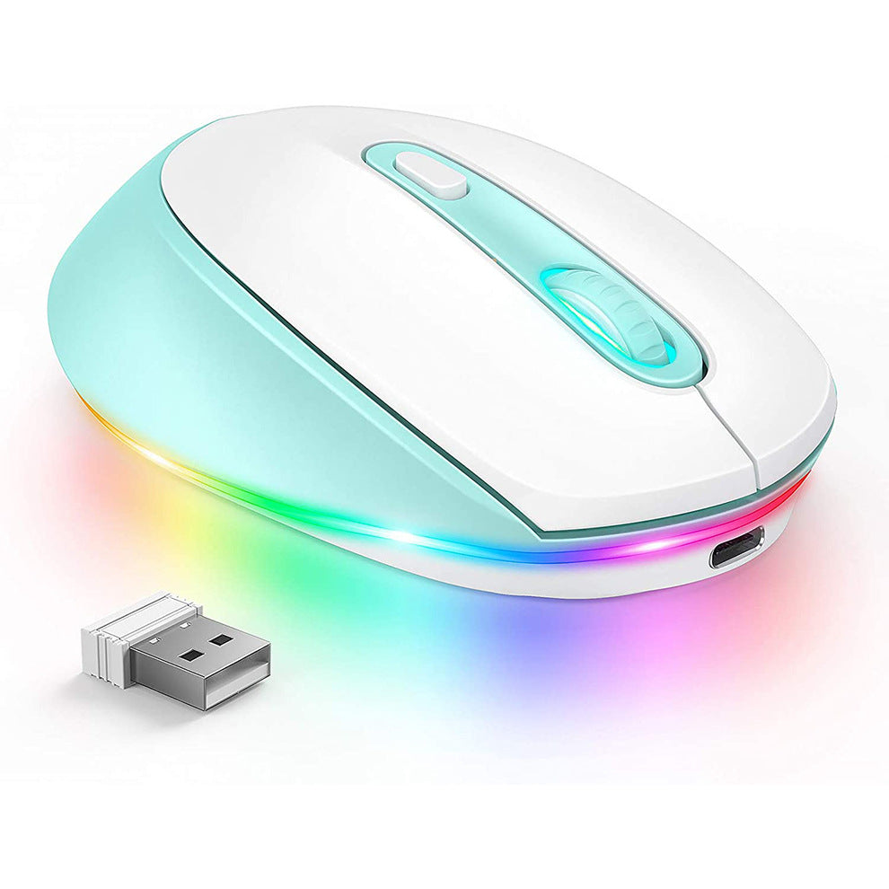 Wireless Ergonomic Mouse 1600 DPI – Rechargeable USB-C